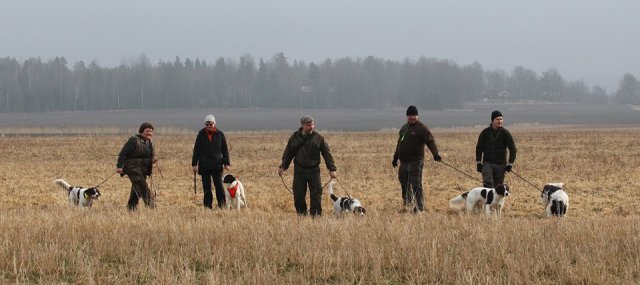 Vårprov SDPK 2017