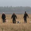 Vårprov SDPK 2017