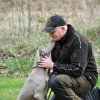 Weimaraner
