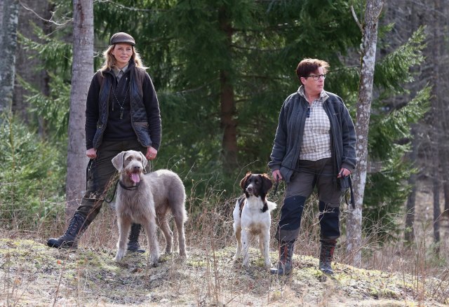 Romy, Wici
