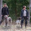 Romy, Wici